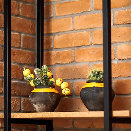 Porto Thea Alexandra Shared Pool Villa, Áfitos